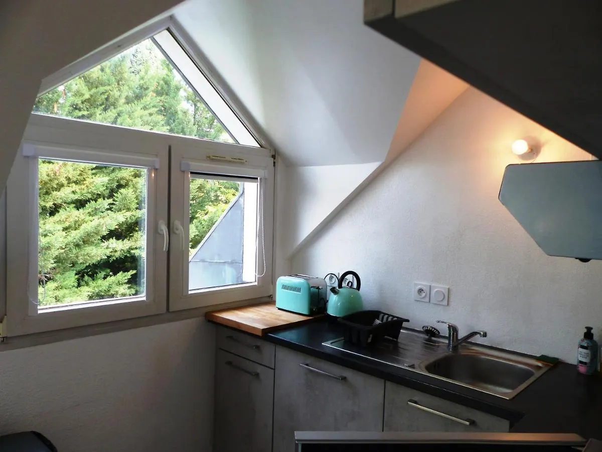 Magnifique T1 Bis Triangle D Or - Parking - Wifi Apartment Annecy