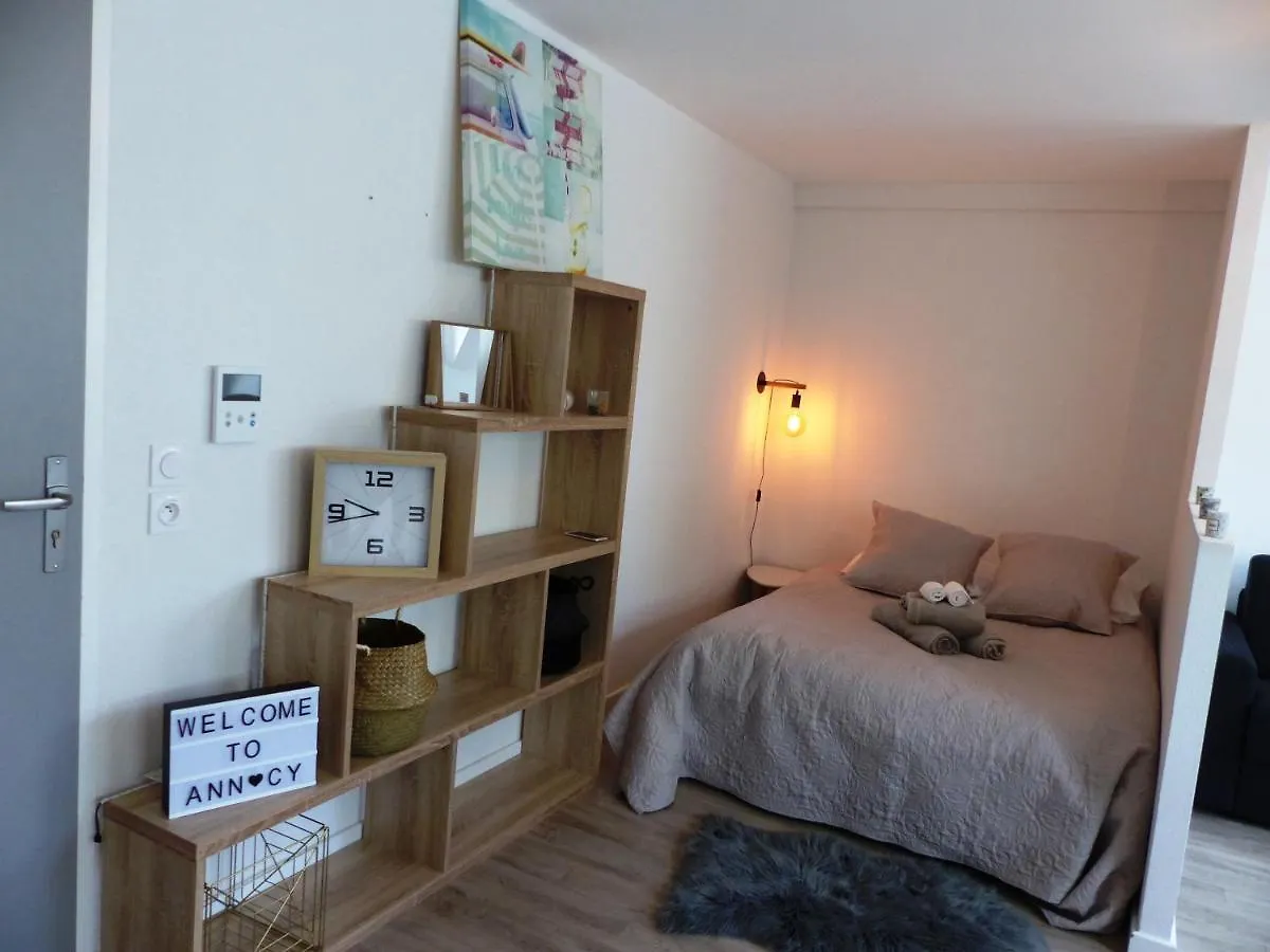 Magnifique T1 Bis Triangle D Or - Parking - Wifi Apartment Annecy France